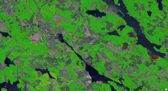 Synliggörande av barrskog (i grönt) samt barkborreangrepp (i rött) som man kan se via satellitdata.