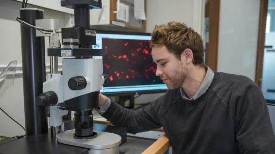 Max Hahn, doktorand vid Umeå centrum för molekylär medicin, studerar vävnadsmaterial med fluorescerande ljusfältsmikroskop.