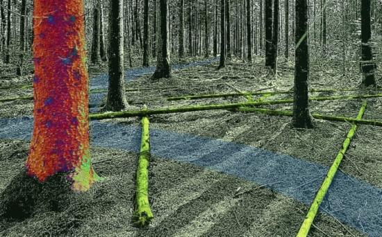 Virtuell skogsmiljö driven med fysikbaserad simulering.