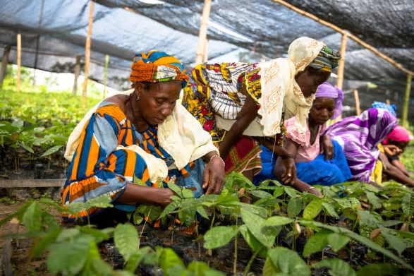 Kvinnor utgör en stor del av småjordbrukarna i Afrika söder om Sahara.