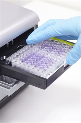 Tydliga riktlinjer för hur tester med så kallad in vitro-metodik ska genomföras och utvecklas kan bidra till att djurförsök snabbare ersätts med djurfria metoder, till exempel cellbaserade.