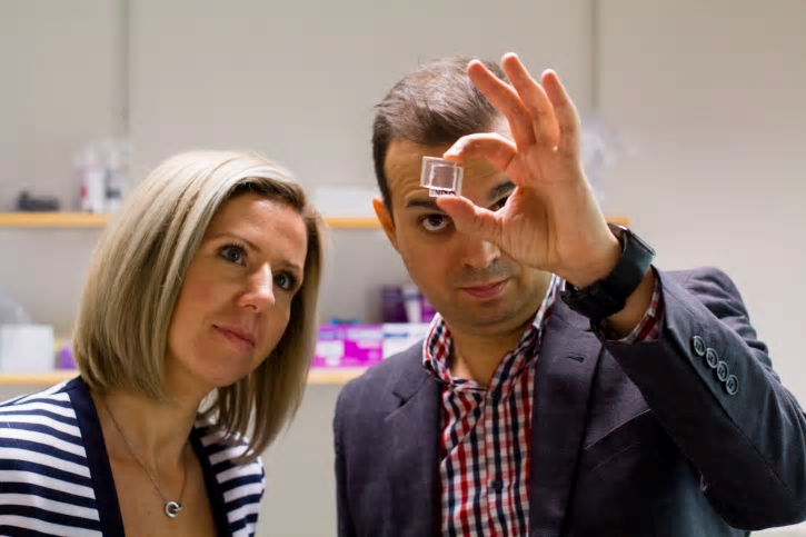 Peafowl, med grundarna Cristina Paun och Jacinto Sá, utvecklar en unik transparent solcell.