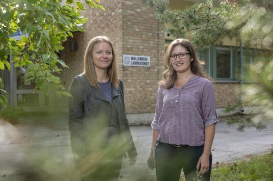 Regina Gratz och Zsofia Reka Stangl, Sveriges lantbruksuniversitet, Umeå, ingår i samma forskargrupp som professor Torgny Näsholm, mottagare av Marcus Wallenbergpriset 2018.
