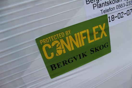 För att skydda plantorna mot snytbaggen, en av de värsta skadegörarna på skogsplantor, erbjuder Bergvik Skog Plantor två olika typer av skydd. Beläggningsskyddet Conniflex och det kemiska skyddet Merit Forest.