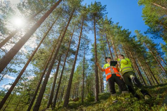 Fredrik Ekelund, produktionsledare, Stora Enso Skog och Nicklas Stenström, maskinförare Stora Enso Skog i samspråk.