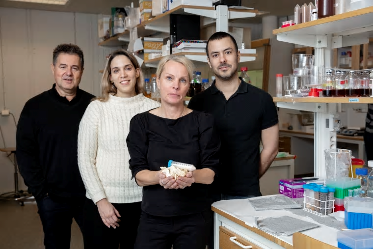 Paul Christakopoulos, professor i biokemisk processteknik, Anthi Karnaouri, forskare biokemisk processteknik, Ulrika Rova, professor biokemisk processteknik och Leonidas Matsakas, forskare i biokemisk processteknik vid Luleå tekniska universitet