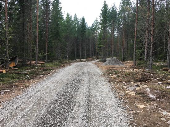 Förberedelserna pågår för fullt i Dalaskogen för Gallringsdagarna 2017. En ny väg genom gallringsskogen öppnar ett stort område för demo och jämförelseytor.