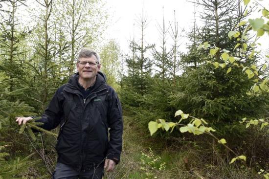 Göran &Ouml;rlander, ordförande för Södras forskningsstiftelse och skogsstrateg i Södra.