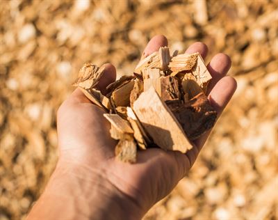 Green Bioraff Solutions är ett treårigt projekt där man ur sågspån och fiberslam ska producera nedbrytbar plast.