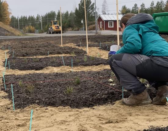 Ecogain och Ragn-Sells har påbörjat ett pilotprojekt där man tillverkar jord baserat på restprodukter från skogsindustrin.