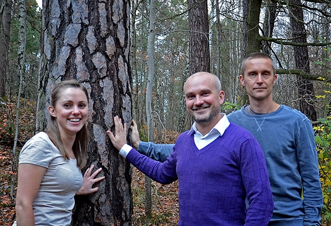 KTH-forskarna Jennie Berglund, Francisco Vilaplana och Jakob Wohlert har detaljstuderat trä.