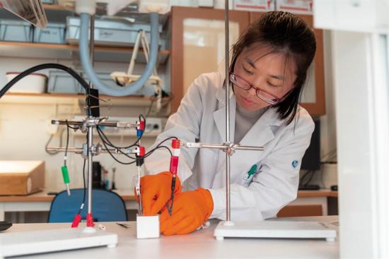Danfeng Cao, doktorand vid Linköpings universitet, monterar en bit ben som ”mikroroboten” sedan kommer linda sig runt och växa ihop med.