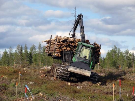 Körning på en av försöksytorna i Rotflakamyran år 2012 med en fullastad skotare som väger 35 ton.