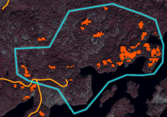 Holmen karta över skog angripen av granbarkborre.