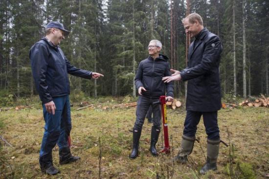 Holmenkoncernen producerar årligen mer än 30 miljoner plantor för att klara den svenska skogslagstiftningens krav på återplantering efter avverkning. Tim Cook, VD för Apple, prövar på det manuella arbetet att plantera skog om given av Iggesund Paperboards hållbarhetschef Johan Granås och Holmens koncernchef Henrik Sjölund.
