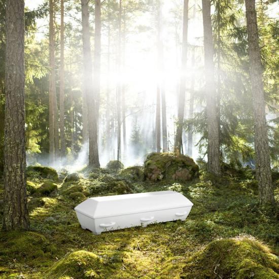Den nya kistan är helt återvinningsbar och biologiskt nedbrytbar, tack vare att den är tillverkad av  biokompositen OrganoComp.