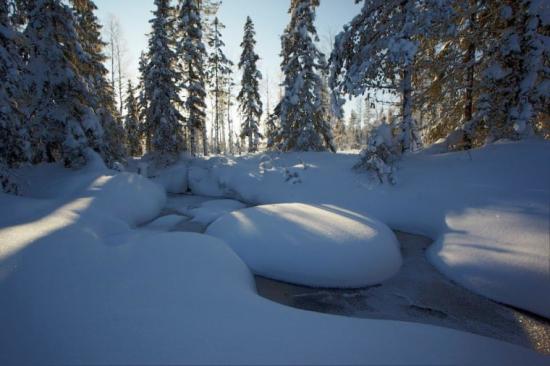 Vinterlandskap, Degerö stormyr i Västerbotten.