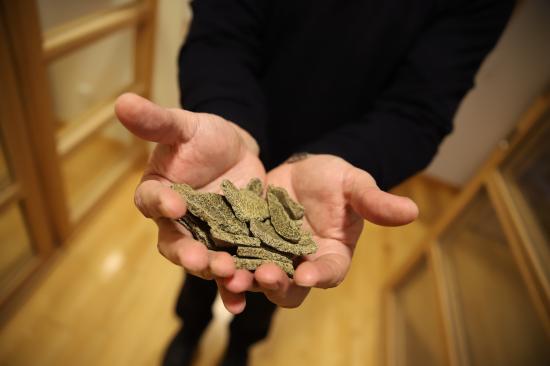 Hans mest uppmärksammade projekt är miljövänliga spånplattor tillverkade av träavfall.