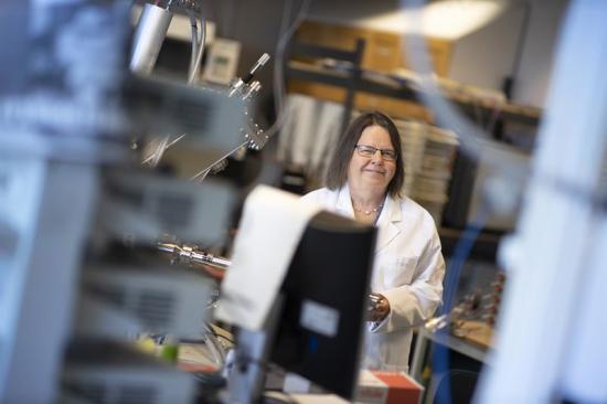 Kristina Edström, batteriforskare vid Uppsala universitet