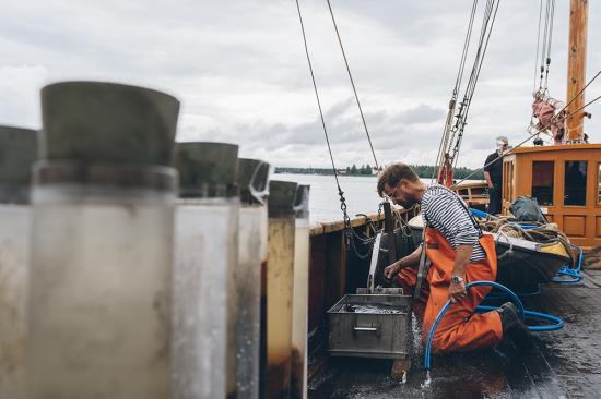 Provtagningar görs vid en rad stora industrianläggningar utmed Norrlandskusten. På bilden syns IVL:s Magnus Karlsson utanför Rönnskär, Skellefteå.