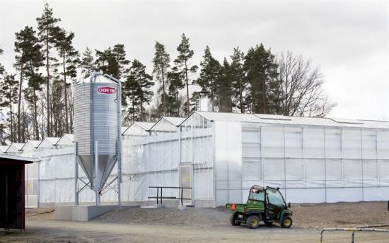 Investeringen består bland annat av ett nytt växthus på 4900 kvadratmeter som värms upp med träpellets från Södras sågverk i Långasjö.