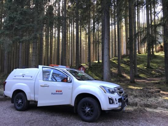 Två större områden av kommunens skog måste avverkas efter massiva angrepp av skadeinsekten granbarkborre. Skedalahed är ett av de drabbade skogsområdena.