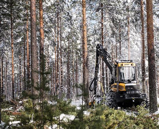 Vintertid i skogen.