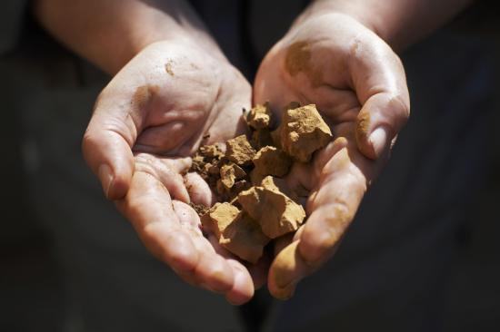 Lignin har stor potential att tillämpas inom olika produktområden, men lukten har varit en utmaning. Det är något den nya testanläggningen ska råda bot på.