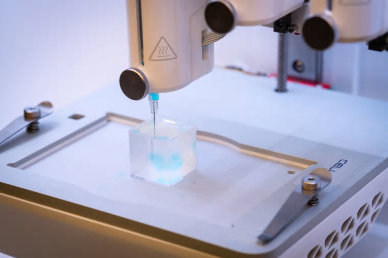 Biobläcket består bland annat av hyaluronansyra och syntetiska protein-liknande molekyler, så kallade peptider. Dessa binds ihop till ett vattenrikt nätverk, en hydrogel, som fungerar som ett stödmaterial för cellerna.