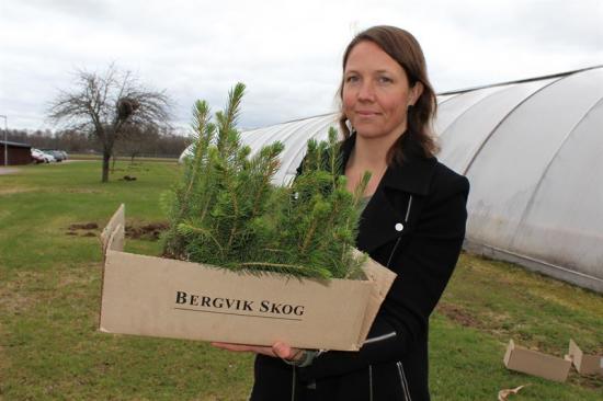 Malin Lindström Eriksson, Bitr. Plantskolechef på Plantskolan Sör Amsberg och hennes kollegor har bråda dagar när årets plantor ska ut till kunderna.