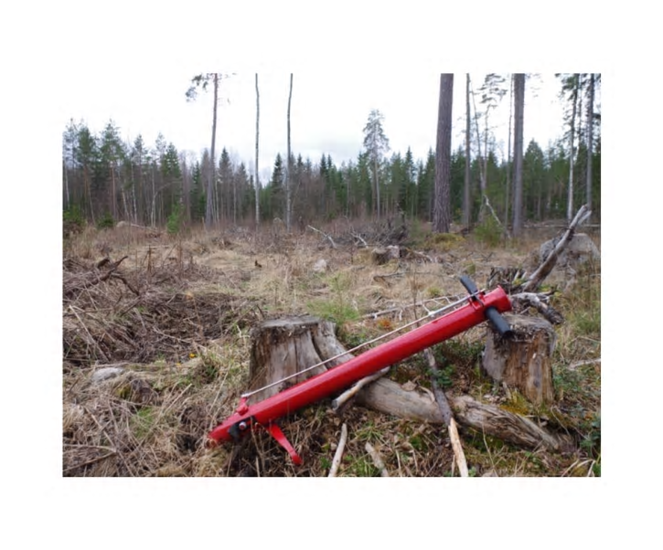 Miljoner plantor är trots COVID-19 färdiga för skogen även i vår- PEFC underlättar för att få in ny svensk personal.