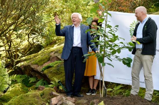 David Attenborough planterar det första trädet av \