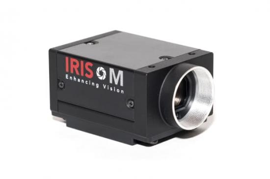 IRIS M Motion Amplification.