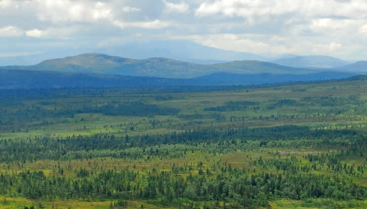 Den nya budgeten betyder att underhållet av länets naturreservat och nationalparker försämras, samtidigt som insatserna för att stötta hotade arter minskar.