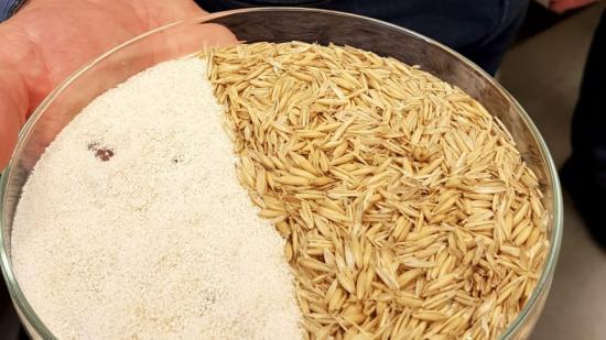 Bränna eller ge till djuren? Nej, uppgradera till värdefulla produkter.