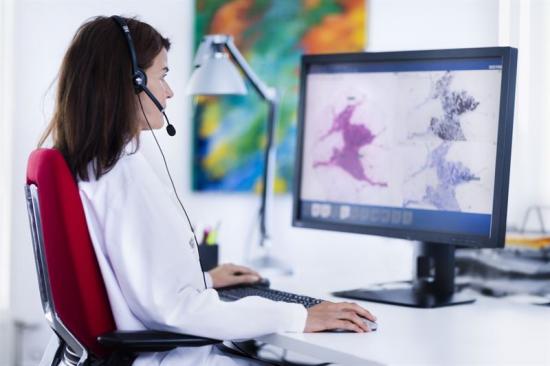 Nu kan Holländska patologilabb börja använda Sectras nationella lösning för telepatologi.