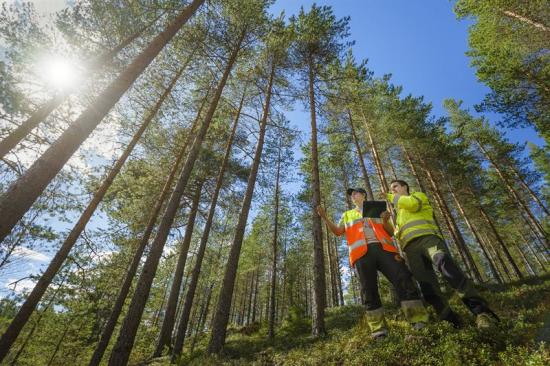 Fredrik Ekelund, produktionsledare, Stora Enso Skog och Nicklas Stenström, maskinförare Stora Enso Skog i samspråk.