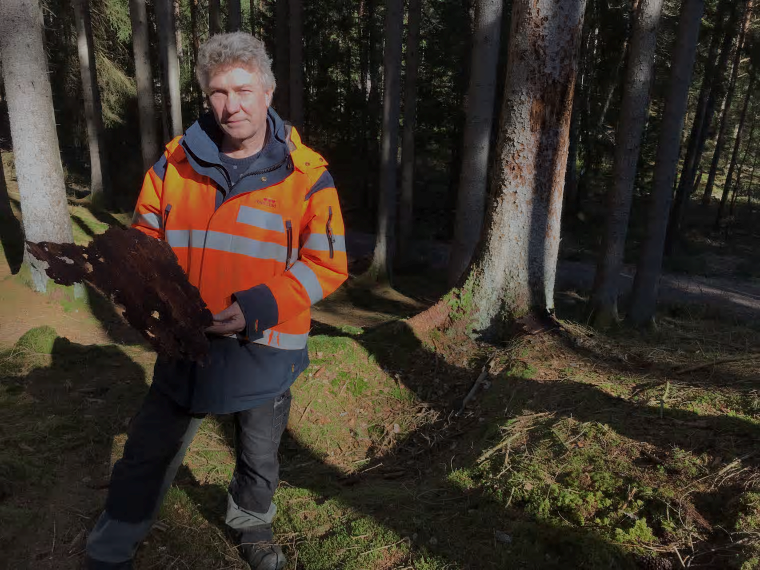 Roland Larsson, enhetschef Kust och naturpark, teknik- och fritidsförvaltningen, ansvarar för avverkningen efter granbarkborreangreppen.