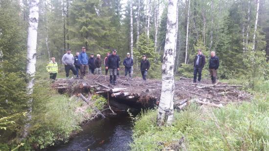 Vid passage över bäck ska virkesbro byggas för att minimera påverkan på vattnet. Markberedningsförare studerar brokonstruktion och biologiska värden.