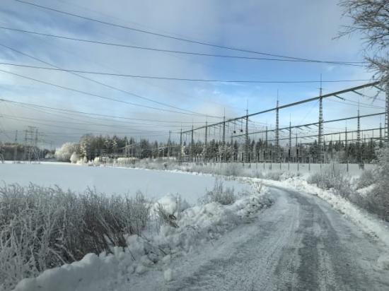 47 hektar av den mark som Google köpte av Avesta kommun i Horndal i höstas, ska nu börja avverkas.